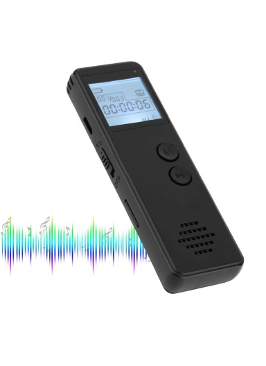 Large-Capacity Memory Voice ..